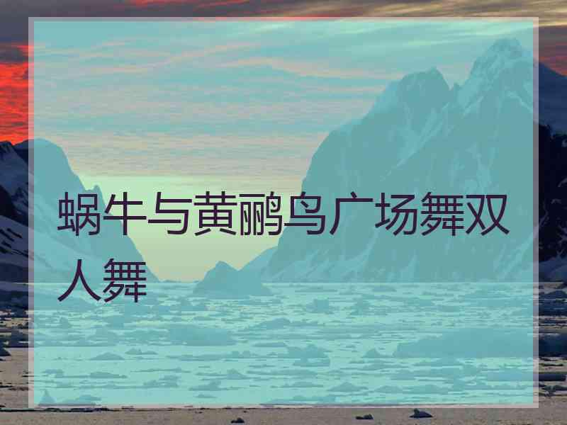 蜗牛与黄鹂鸟广场舞双人舞