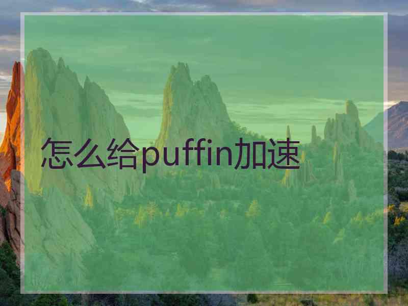 怎么给puffin加速