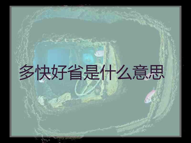 多快好省是什么意思