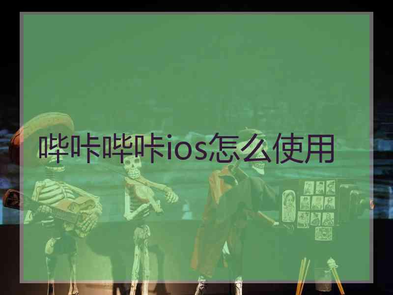 哔咔哔咔ios怎么使用