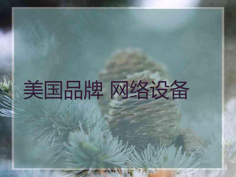 美国品牌 网络设备