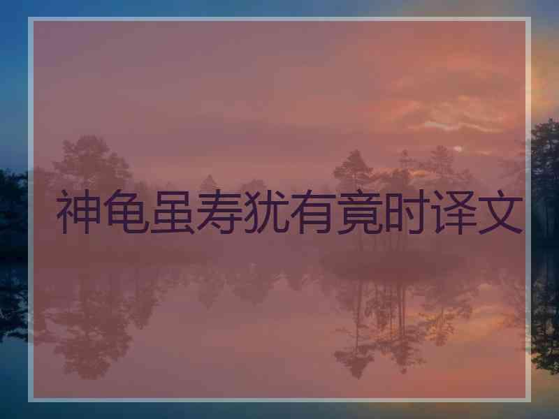 神龟虽寿犹有竟时译文