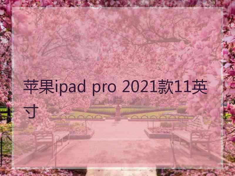 苹果ipad pro 2021款11英寸