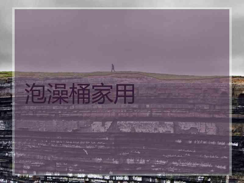 泡澡桶家用