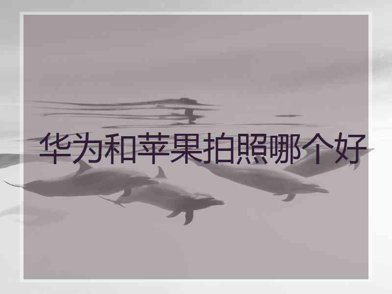 华为和苹果拍照哪个好
