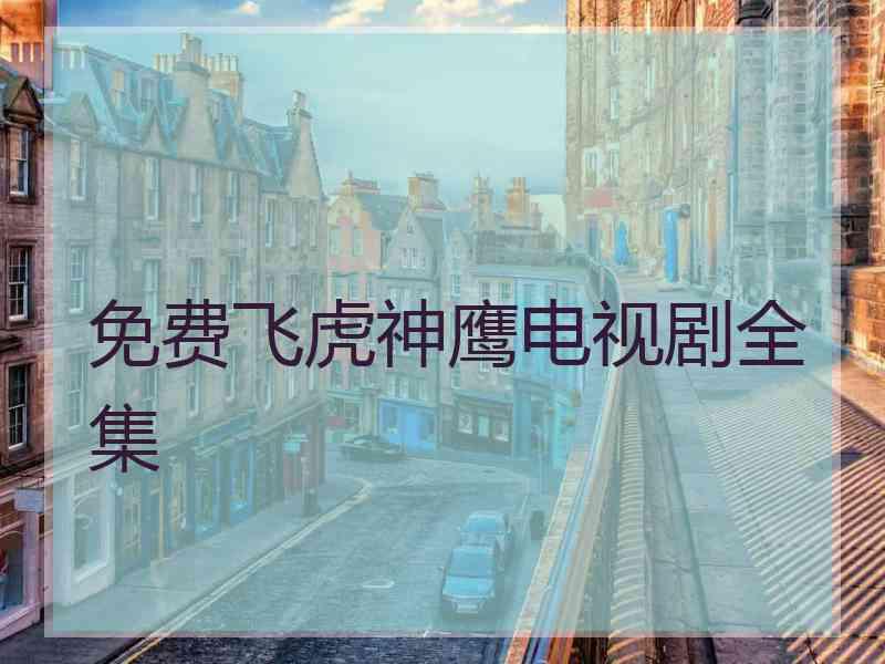 免费飞虎神鹰电视剧全集