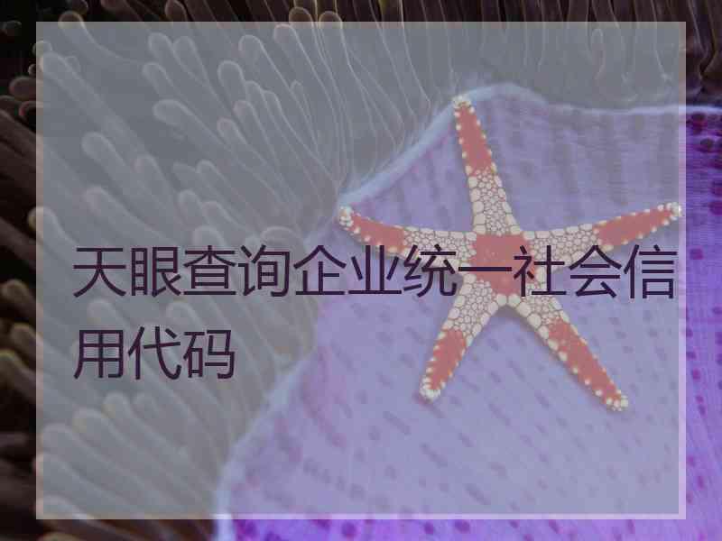 天眼查询企业统一社会信用代码
