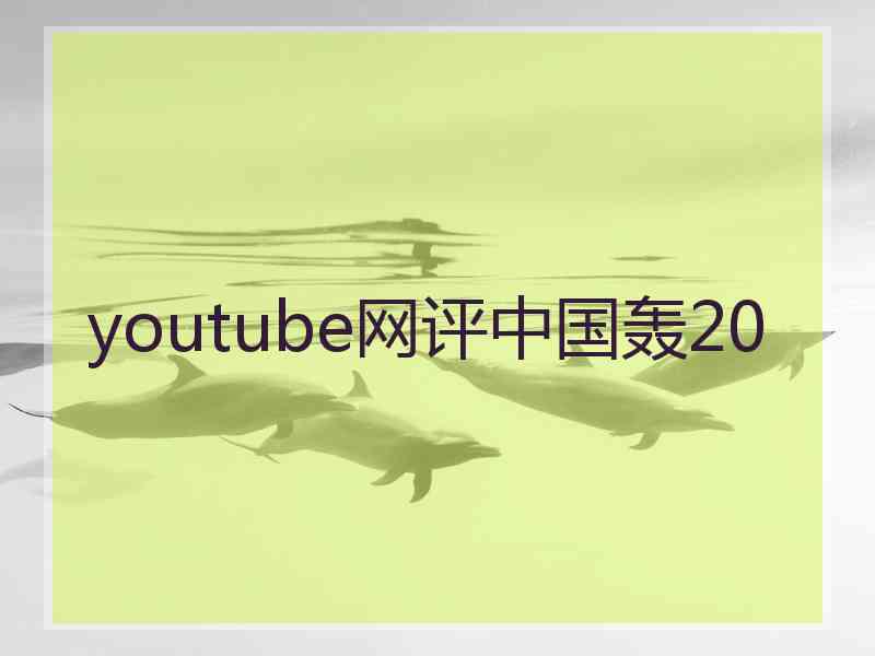 youtube网评中国轰20