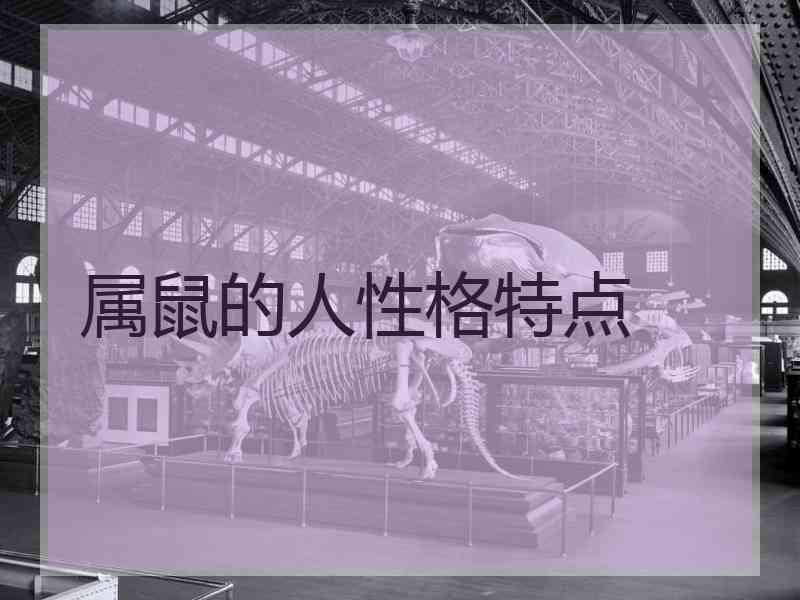 属鼠的人性格特点