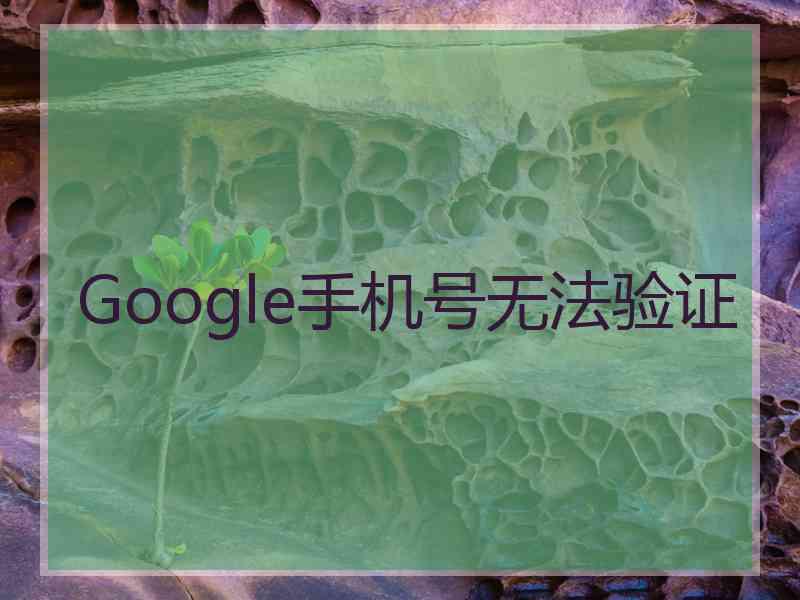 Google手机号无法验证