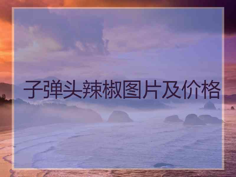 子弹头辣椒图片及价格