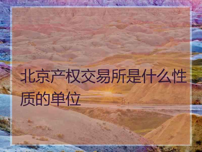 北京产权交易所是什么性质的单位