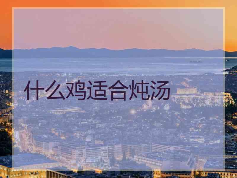 什么鸡适合炖汤