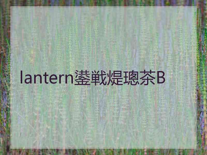 lantern鍙戦煶璁茶В