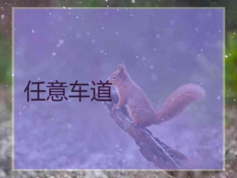 任意车道