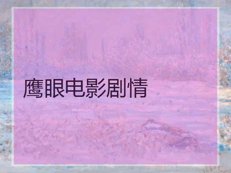 鹰眼电影剧情