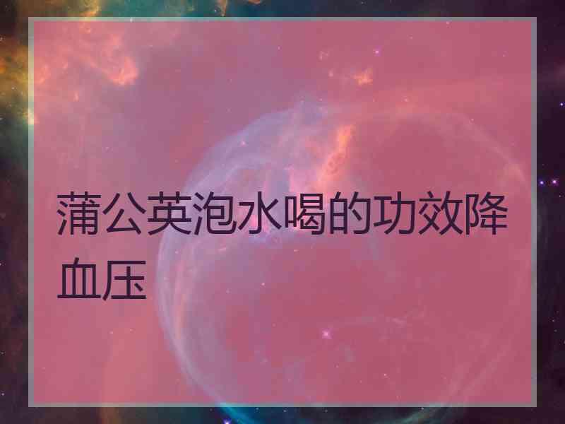 蒲公英泡水喝的功效降血压