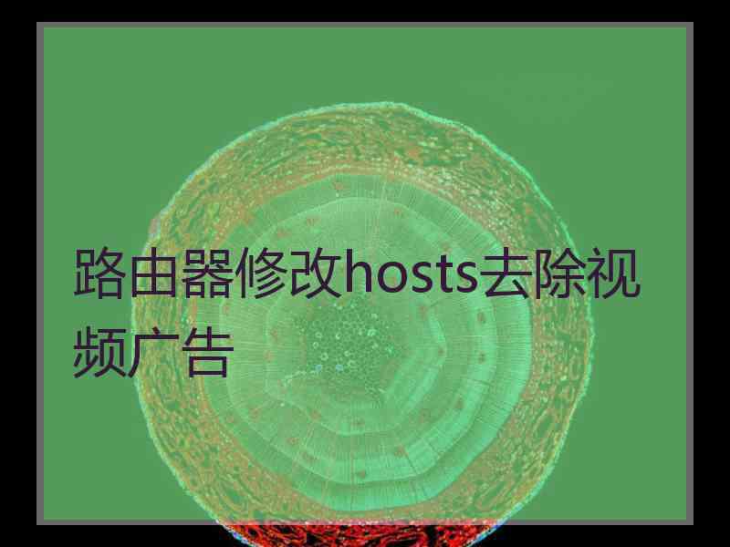路由器修改hosts去除视频广告