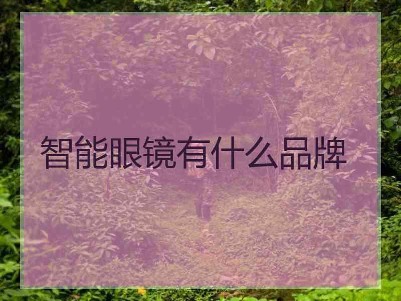 智能眼镜有什么品牌