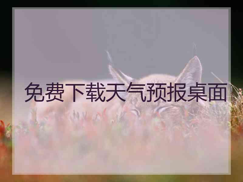 免费下载天气预报桌面