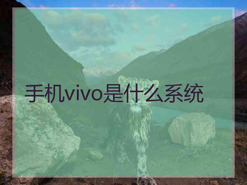 手机vivo是什么系统