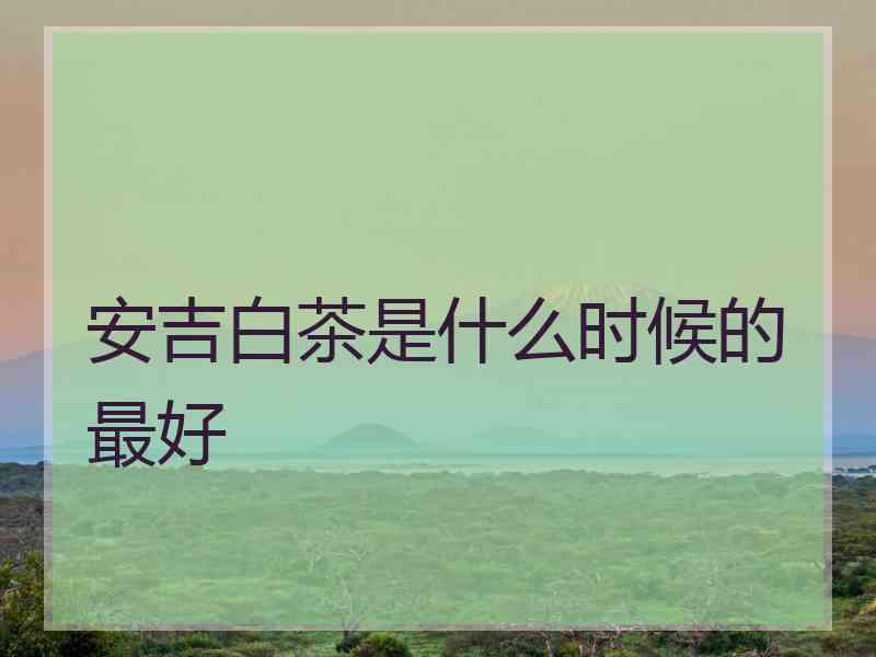 安吉白茶是什么时候的最好