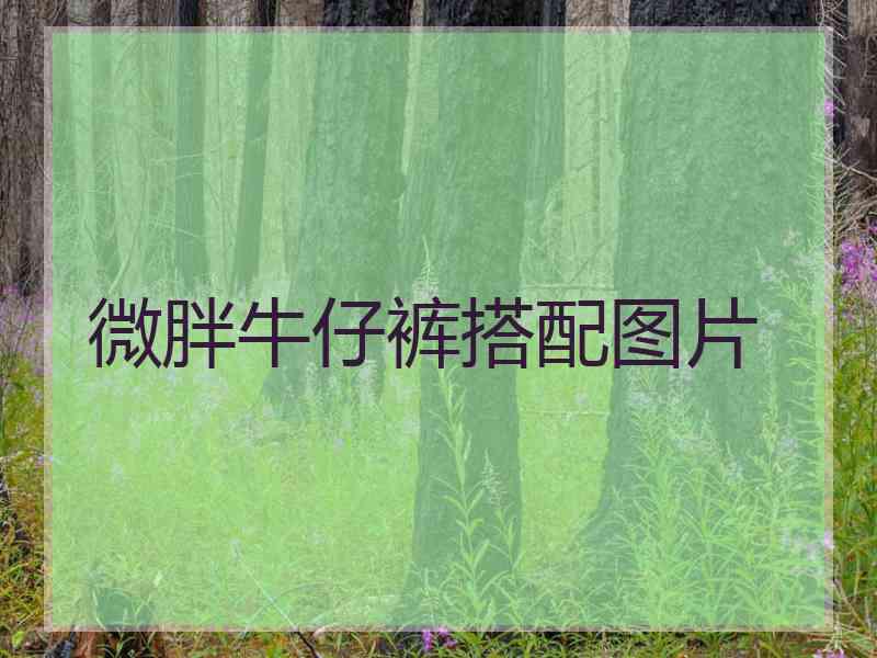 微胖牛仔裤搭配图片