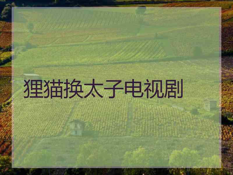 狸猫换太子电视剧