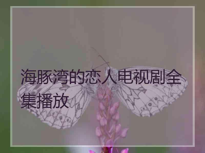 海豚湾的恋人电视剧全集播放