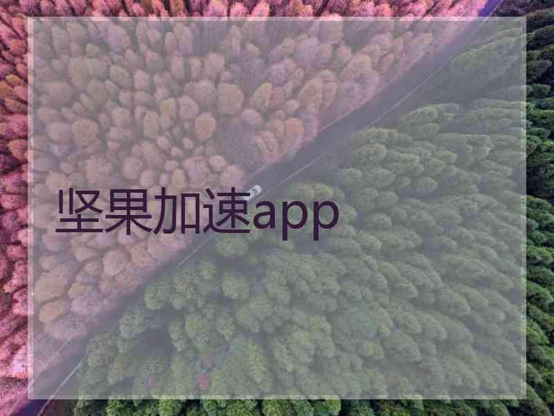 坚果加速app