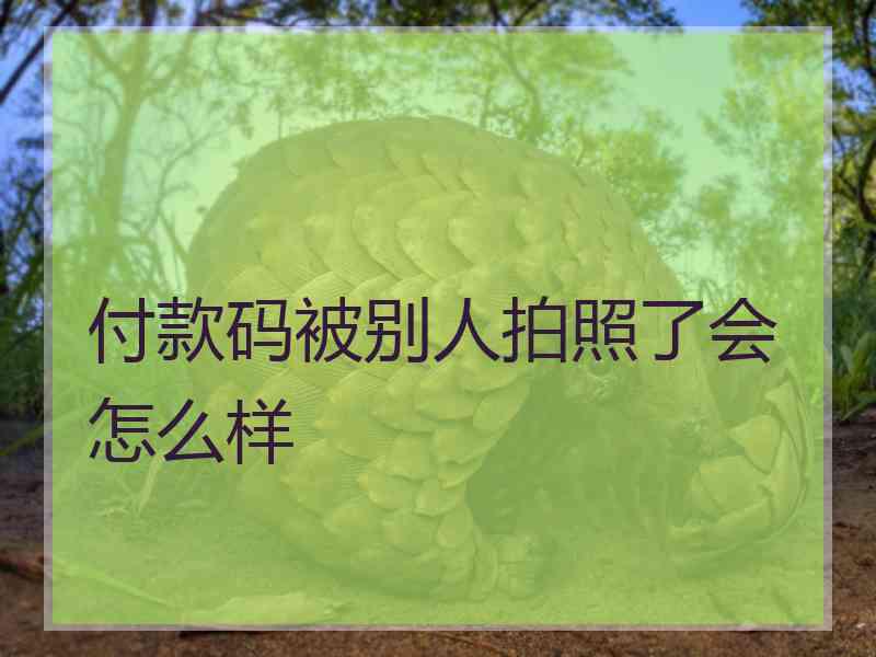 付款码被别人拍照了会怎么样