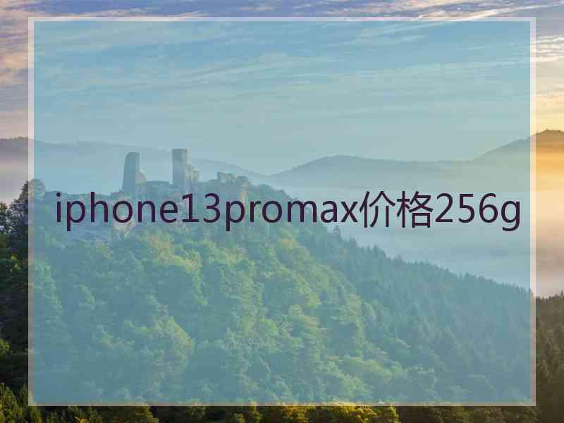 iphone13promax价格256g