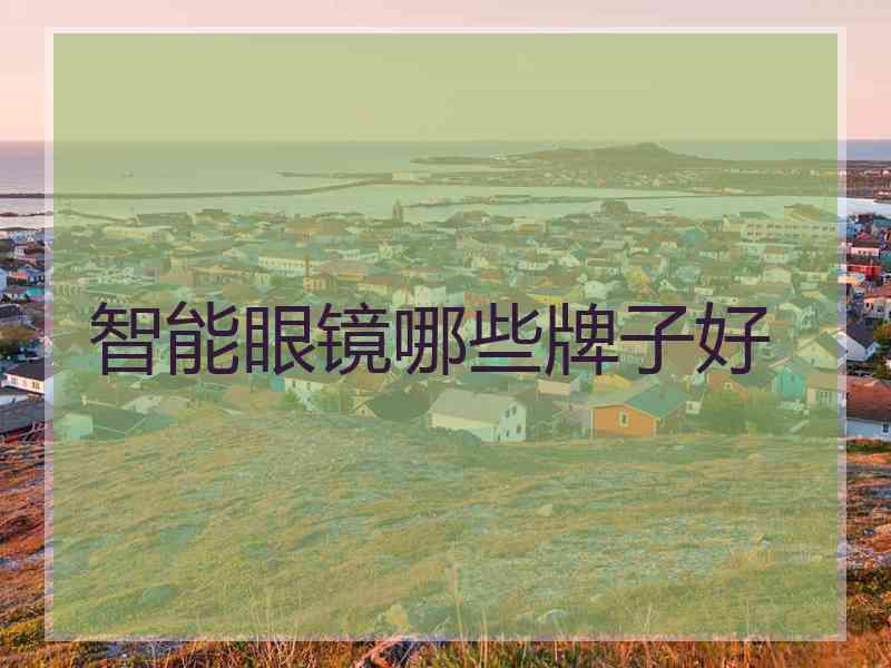 智能眼镜哪些牌子好