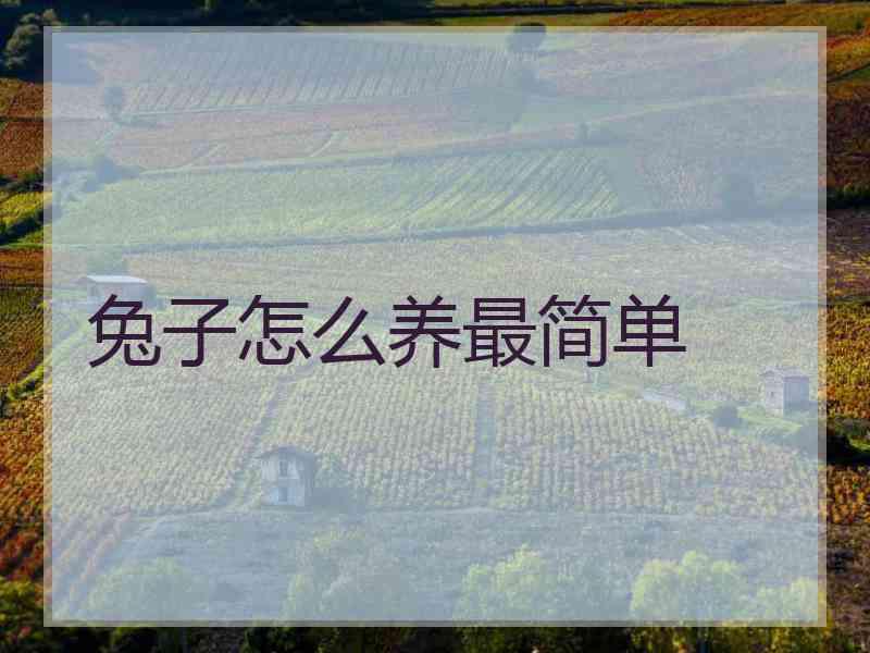 兔子怎么养最简单