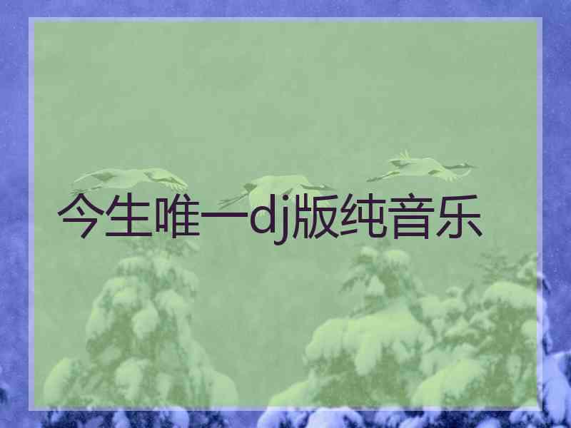 今生唯一dj版纯音乐