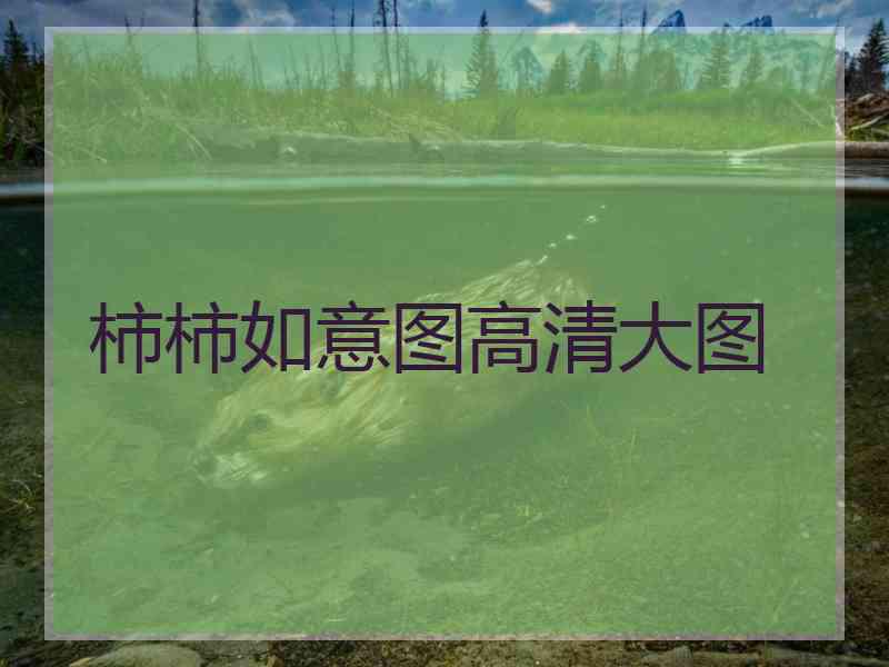 柿柿如意图高清大图