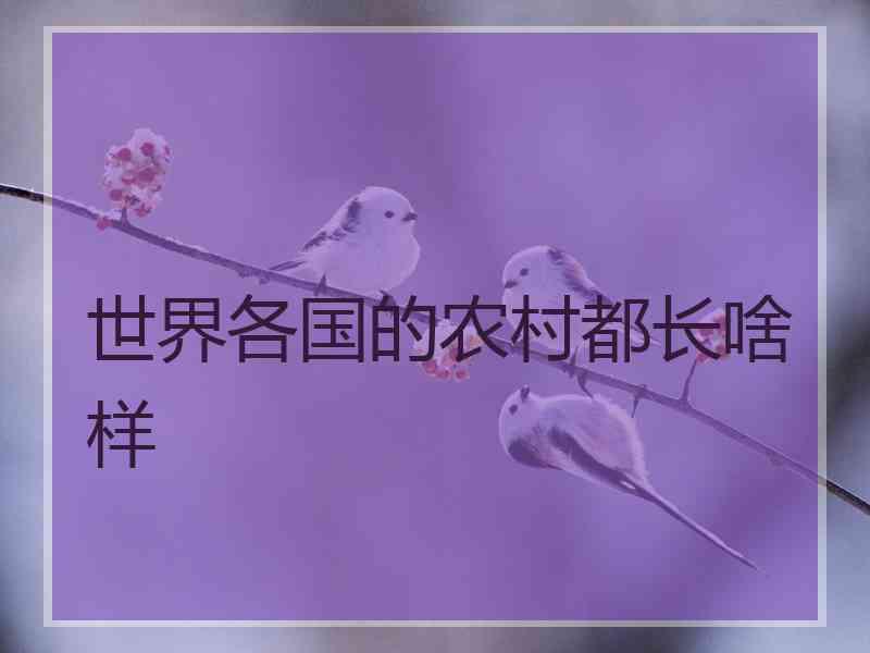 世界各国的农村都长啥样