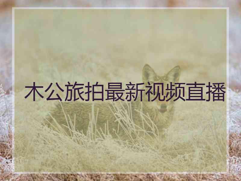 木公旅拍最新视频直播