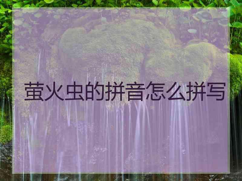 萤火虫的拼音怎么拼写