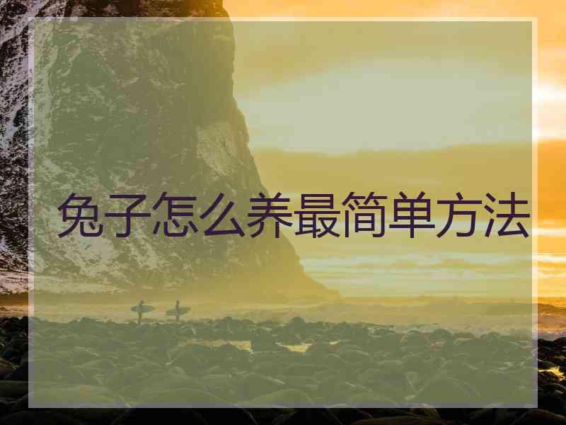 兔子怎么养最简单方法
