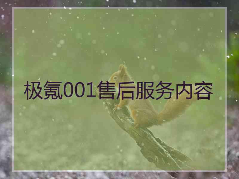 极氪001售后服务内容