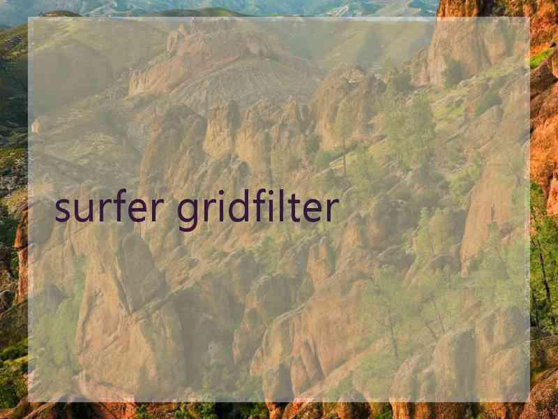 surfer gridfilter