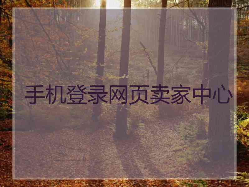 手机登录网页卖家中心