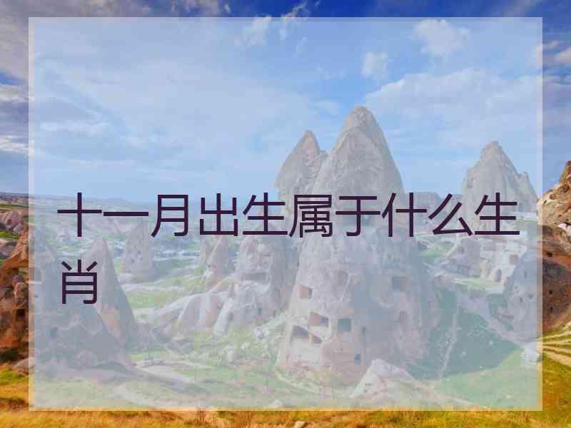 十一月出生属于什么生肖