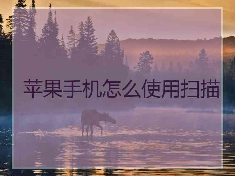 苹果手机怎么使用扫描