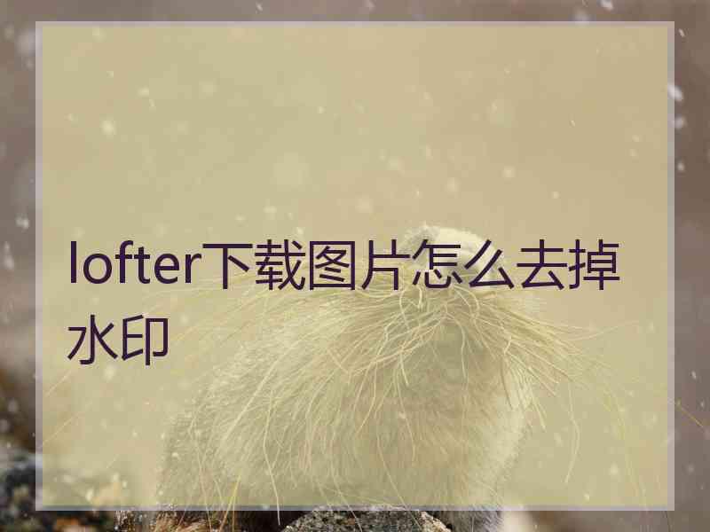 lofter下载图片怎么去掉水印