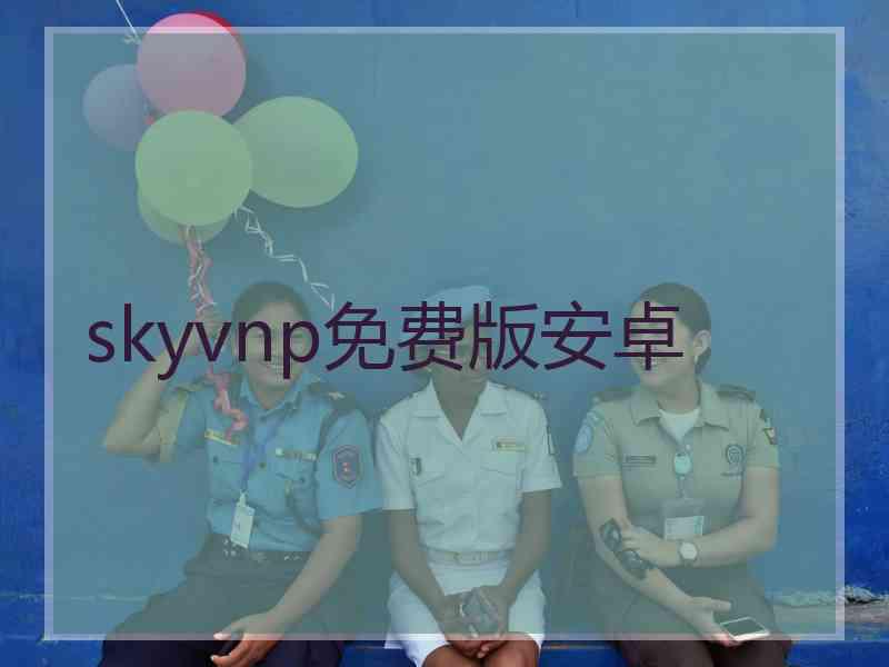 skyvnp免费版安卓