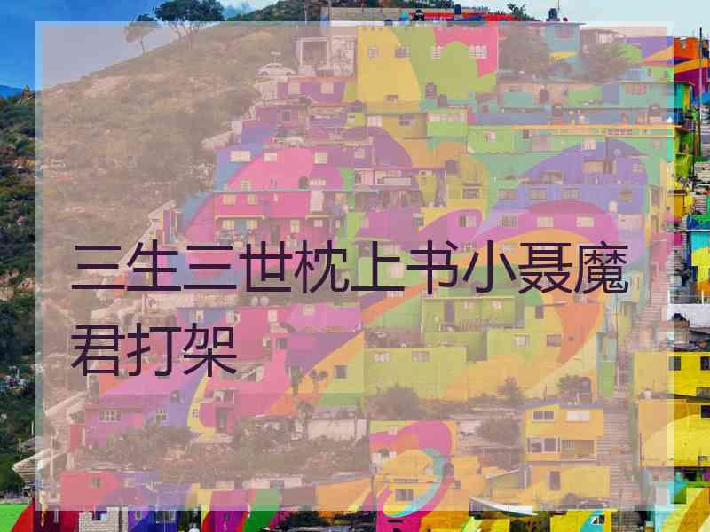 三生三世枕上书小聂魔君打架