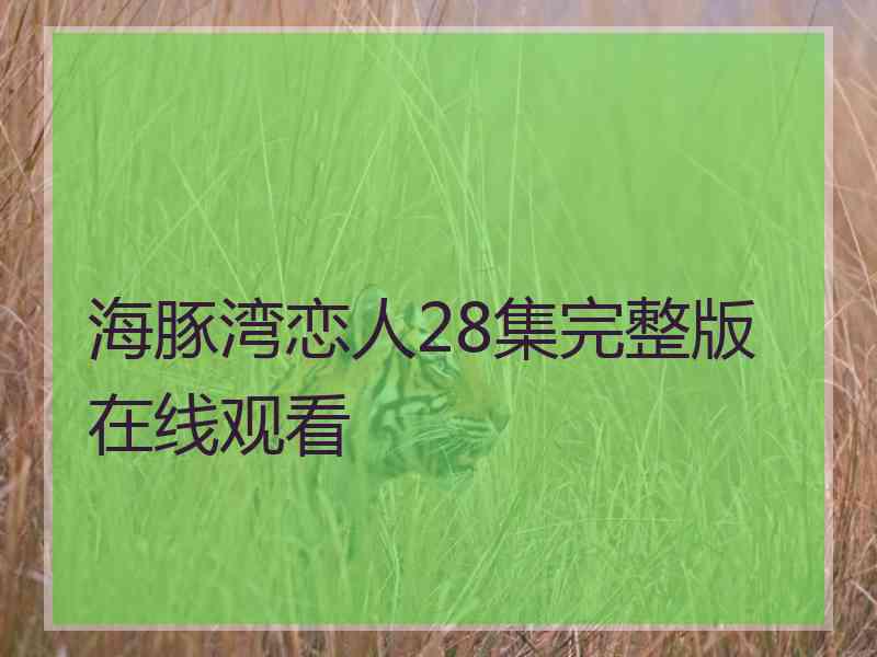 海豚湾恋人28集完整版在线观看