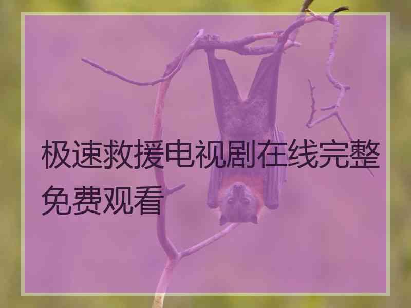 极速救援电视剧在线完整免费观看